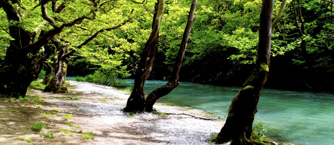 Voidomatis river: A walk along its crystal clear waters in the region of Epirus